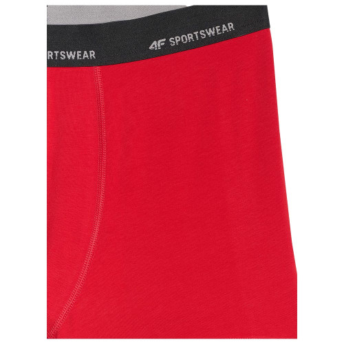 4F Ανδρικό εσώρουχο boxer 2-Pack